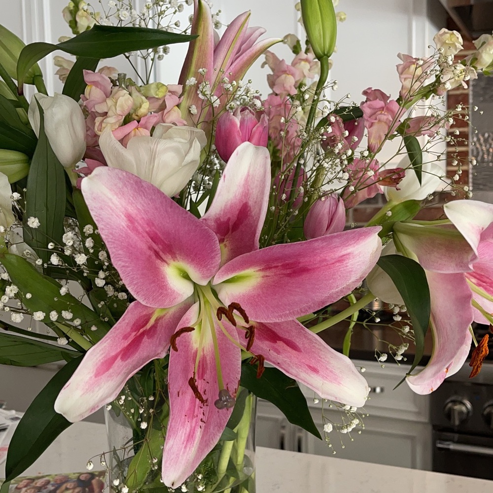 Meet your Posher, Mak